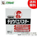 チョウバエバスター 25g×10袋 業務用 チョウバエ退治 コバエ 対策 幼虫 駆除 排水口 お風呂場 トイレ グリストラップ 洗浄除菌 防臭 [R]