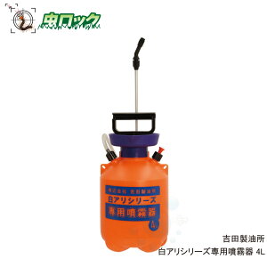 VAܐp AV[Yp 4L @ 蓮 gc