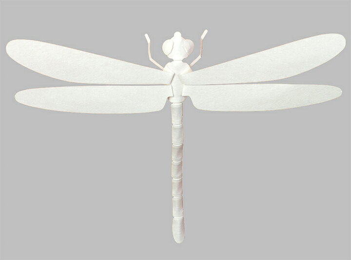 楽天市場 ペーパークラフト トンボ Entomological Meister むし工房