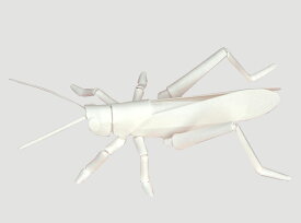 楽天市場 バッタ クラフトの通販