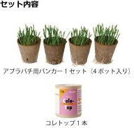アブラバチ用バンカー＆コレトップセット