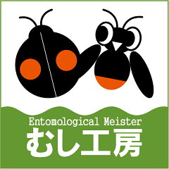 Entomological meister むし工房
