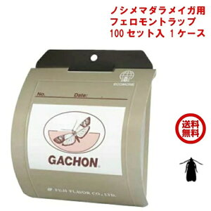 100Zbg mV}_CK p tFgbv tWgbv K` 1P[X gbv A[ e100 GACHON xmt[o[ CK |Cg  ̎s iC