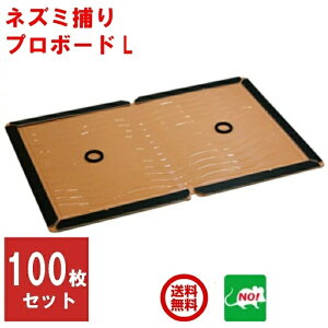 100Zbg ˂݋쏜 Ɩp SV[g v{[hL 1P[X S lY~S lY~ ˂ݕ߂ V[g  Ƃ  lY~ގ ގ ΍ RSL |Cg  ̎s iC