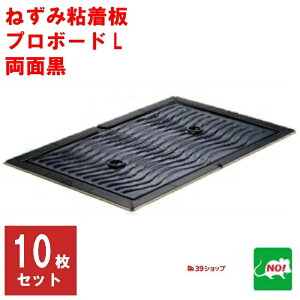 ˂݋쏜 Ɩp SV[g v{[hL ʍ 10Zbg S lY~ l lY~S ˂ݕ߂ V[g Ƃ   lY~ގ ގ ΍  |Cg RSL  ̎s 