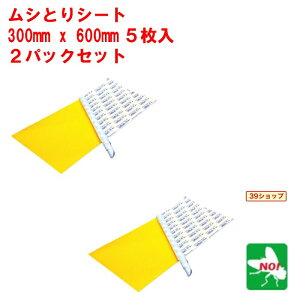 2pbNZbg nG쏜 č Ɩp VƂV[g 300mm x 600mm 1pbN 5 ͂   Ƃ  ގ |Cg  ̎s iC