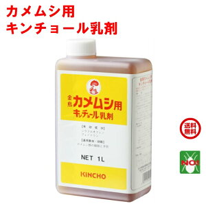 JV쏜 Ɩp  JVp L`[  1L L`[ E  ߂ނ ގ ΍ x_ JVL`[ RSL |Cg  ̎s iC