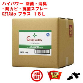 【10%OFF】 除菌 スプレー 業務用 G2TAM α プラス 18L ソフトタンク ジーツータム アルファ ピース アンド キューズ 消臭 抗菌 除菌 抗カビ 剤 対策 強力 RSL 6月 スーパーセール あす楽対応 ポイント 消化 領収書発行 虫ナイ