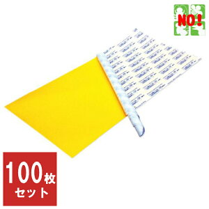 100Zbg nG쏜 č Ɩp VƂV[g 300mm x 600mm 1pbN 5 20pbN 1P[X ͂   Ƃ  ގ |Cg  ̎s iC