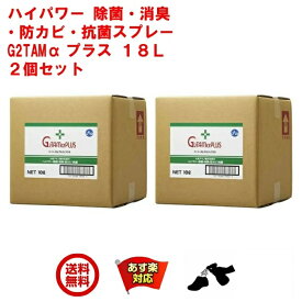 2個セット 除菌 スプレー 業務用 G2TAM α プラス 18L ソフトタンク ジーツータム アルファ ピース アンド キューズ 消臭 抗菌 除菌 抗カビ 剤 対策 強力 RSL 6月 スーパーセール あす楽対応 ポイント 消化 エントリー 領収書発行 虫ナイ