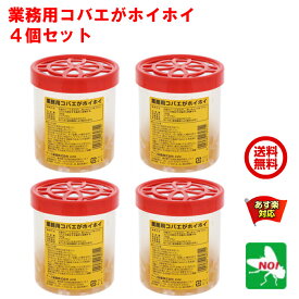 楽天市場 コバエ取りの通販