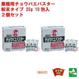 2個セット ハエ駆除 業務用 チョウバエバスター 10包入り 金鳥 キンチョー 殺虫剤 コバエ チョウバエ ショウジョウバエ 駆除 10袋 はえ 蠅 蝿 とり 取り 退治 対策 排水口 グリストラップ トイレ RSL 6月 スーパーセール あす楽対応 ポイント 2倍 消化