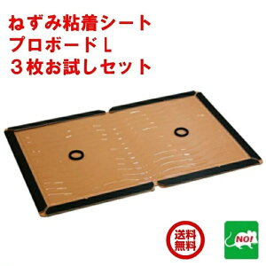 ˂݋쏜 Ɩp SV[g v{[hL 3  Zbg 1000~|bL  S lY~ l lY~S ˂ݕ߂ V[g   lY~ގ ގ ΍  䂤pPb