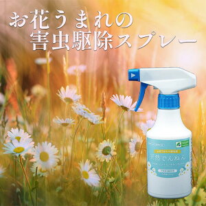 sQ쏜 VRł˂ 300ml VRR W`EMNGLX Jf Xf _SV WV NA qA N `EoG XJ ގ ΍ |Cg  ̎