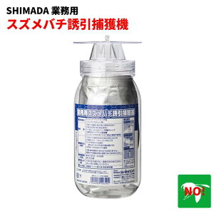 SHIMADA Ɩp XYo`Uߊl