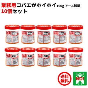 10Zbg nG쏜 Ɩp RoGzCzC 160g A[X E RoG VEWE m~ oG   nGƂ nG RoG ގ ΍ RoGzCzC nGzCzC RSL |C