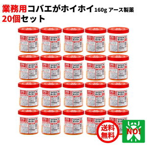 20Zbg nG쏜 Ɩp RoGzCzC 160g 1P[X A[X E VEWEoG m~oG   Ƃ  ގ ΍ RoGzCzC RoG nGzCzC RSL |Cg 