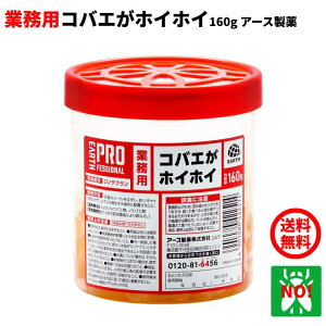  nG쏜 Ɩp RoGzCzC 160g A[X E RoG VEWEoG m~oG   nGƂ nG RoG  ގ ΍ RoGzCzC RoGقق nGzC