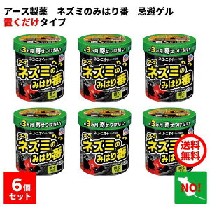 6Zbg A[X lY~݂̂͂ 350g Q A[X  lY~ 쏜 蒅h~  2Ԏ q u  uȒP VRR