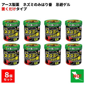 8Zbg A[X lY~݂̂͂ 350g Q A[X  lY~ 쏜 蒅h~  3Ԏ q u  uȒP VRR 