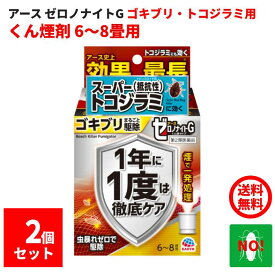 ゴキブリ駆除 ゼロノナイトG ゴキブリ用 くん煙剤 6〜8畳用 2個セット 10g 第2類医薬品 アース製薬 殺虫剤 くん煙剤 煙タイプ トコジラミ ナンキンムシ 退治 予防 対策 業務用 送料無料 ポイント 消化 領収書発行 虫ナイ