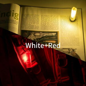 LEDCg RovyVonir[{j AuroraiI[jA7i4ヂfj ^@\t LED tbVCg ^ y 650[ ~@\iGITDj USB Type-C }OlbgNbv ꕔE}