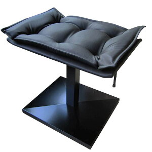 yzC^A IWi DISCACCIATIifBXJ`[`jKXV_[ sAm㉺݈֎q MODEL 807  KX