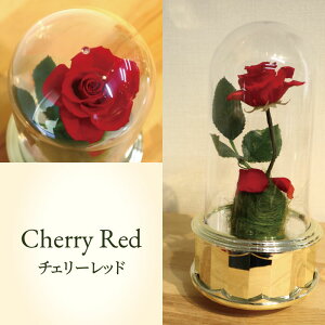 ローズドームオルゴール【曲目:美女と野獣 18Nオルゴール 回転式オルゴール バラ ラッピング無料サービス 】