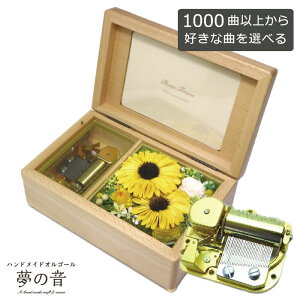 yDȋȂ30كIS[𐻍삵܂z VtHj[(i`)30N^CvIS[`vU[uht-A[gt[t`Ђ܂` 1000ȂIׂ ȖڃXg30N^C