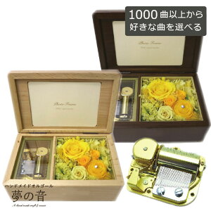 yDȋȂ30كIS[𐻍삵܂z VtHj[E30NIS[`vU[uht-A[gt[t`CG[`1000ȂIׂEȖڃXg30N^Cv炨D