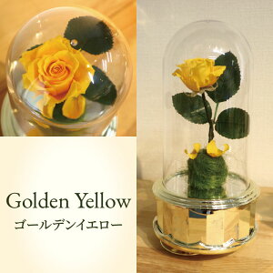 [Yh[IS[yȖځFƖb 18NIS[ ]IS[ o bsOT[rX z