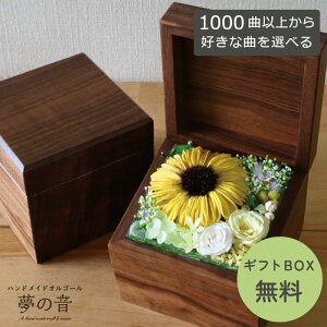 �y���D���ȋȂ�30�كI���S�[���𐻍삵�܂��z�T�v���C�YBOX(L)30N�^�C�v�I���S�[��(�_�[�N�u���E���E�Ђ܂��j�E��1000�Ȃ���D���ȋȂ��I�ׂ�E�Ȗڃ��X�g��30N�^�C�v���炨�D���ȋȂ�I��