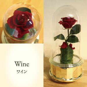 [Yh[IS[yȖځFƖb 18NIS[ ]IS[ o bsOT[rX z