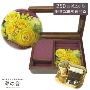 yDȋȂŃIS[𐻍삵܂zؐΔOR061 23N^CvIS[`vU[uht[A[gt[t` CG[ 250ȂDȋȂIׂ ȖڃXg23N^Cv