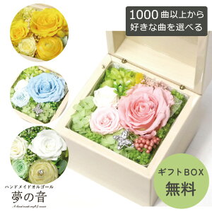 �y���D���ȋȂ�30�كI���S�[���𐻍삵�܂��z �T�v���C�YBOX(L)30N�^�C�v�I���S�[���E��1000�Ȃ���D���ȋȂ��I�ׂ�E�Ȗڃ��X�g��30N�^�C�v���炨�D���ȋȂ�I�ׂ܂��E�I�[�_�[���C�h �� �v