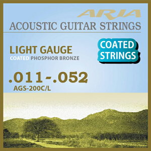 Aria AGS-200C/L  2set tH[NM^[ R[eBO