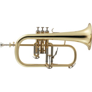 Kaerntner KFG50 Pgi[ t[Qz