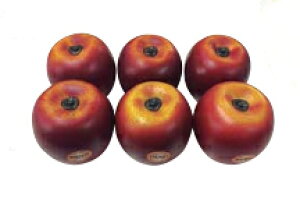REMO �t���[�c�V�F�C�N�X �A�b�v��6�p�b�N LREMSCAPLG06 ���� �V�F�C�J�[