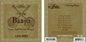 Aria AGS-100BJ  2set AA oW[