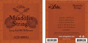 Aria AGS-100MA  1set AA }h