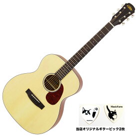 Aria Aria-101 MTN アコースティックギター ナチュラル