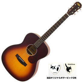 Aria Aria-101 MTTS アコースティックギター タバコサンバースト