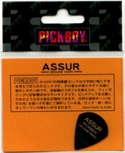 Pickboy GP-AS/1(ASSUR) 2�� �A�V�����s�b�N