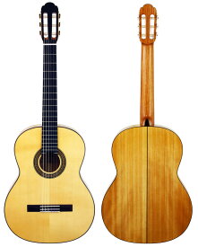 Aria A-50F (フラメンコギター) ギグバックサービス
