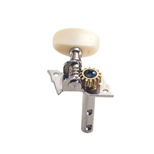 Kikutani XeB[p GM-SP