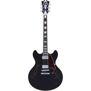 D'Angelico Z~AR@Premier DC Black FlakeyMOobNtz