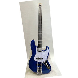 Schecter@wbhXEx[X@OL-HLB/STBy\tgP[XT[rXz