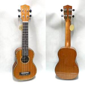 DCT I[E}zKj[̃\vmEN DUS-300M