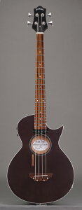 GrassRoots G-AC-BASS See Thru Black Satin GNgbNAR[XeBbNx[XiP[Xtj