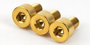 FU-Tone ( Gt[g[ ) / Titanium Nut Clamping Screw Set (3) Gold